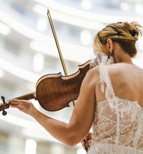 violin, violinist, musician, instrument, music, art, artist, talent, scene, concert, portrait, beautiful, woman, musical, sound, sound, sound, sound, sound, sound-8405558.jpg